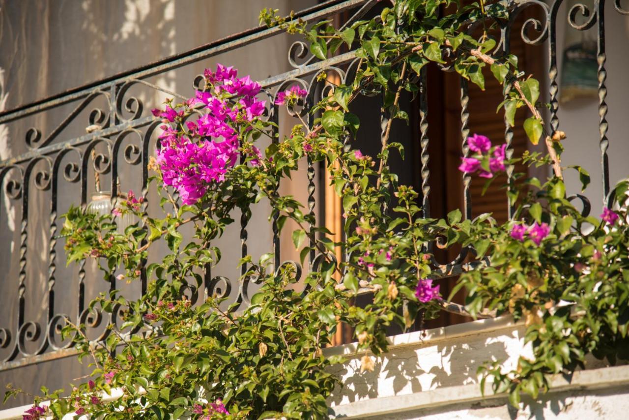 Seasidelongo Houses 1 Min From The Beach Of Nikiti Exterior foto